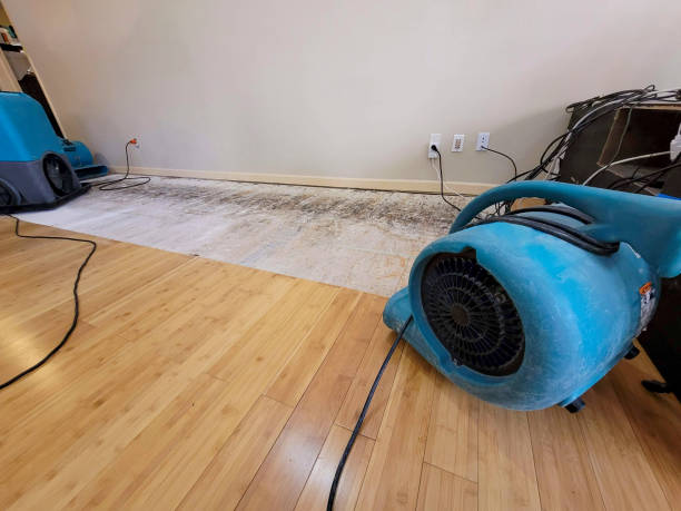 Professional Water Extraction technician working in Montclair, VA